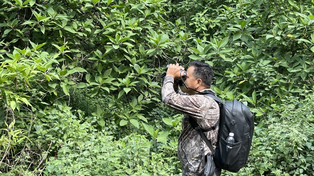 Birdwatching Hotspots in Nepal 