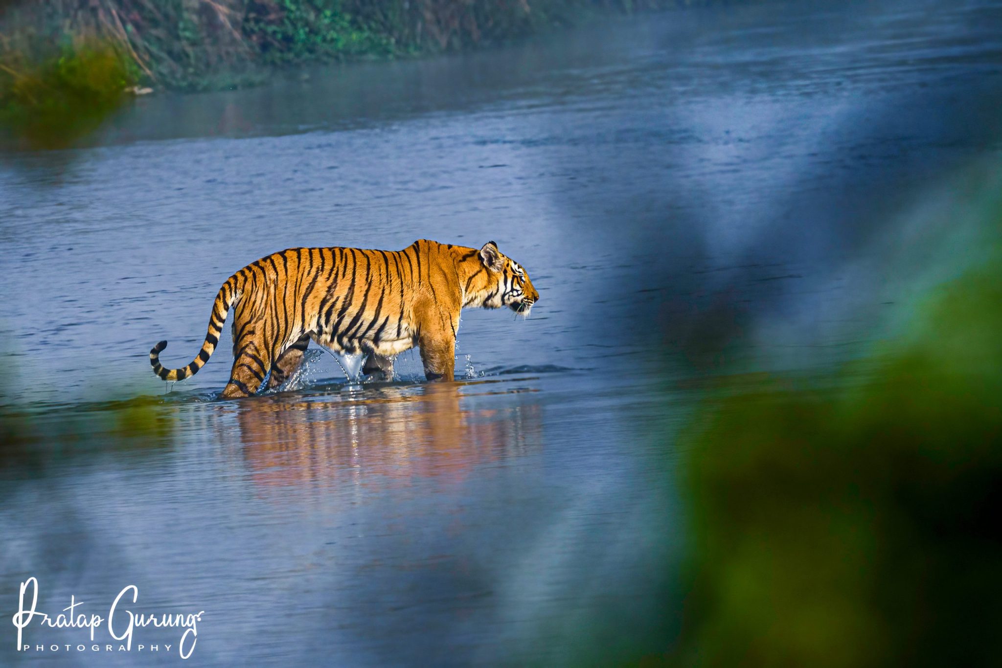 Chitwan Wildlife Tour