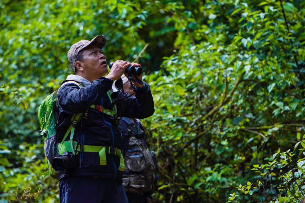 Activities about Nepal Birding Tour