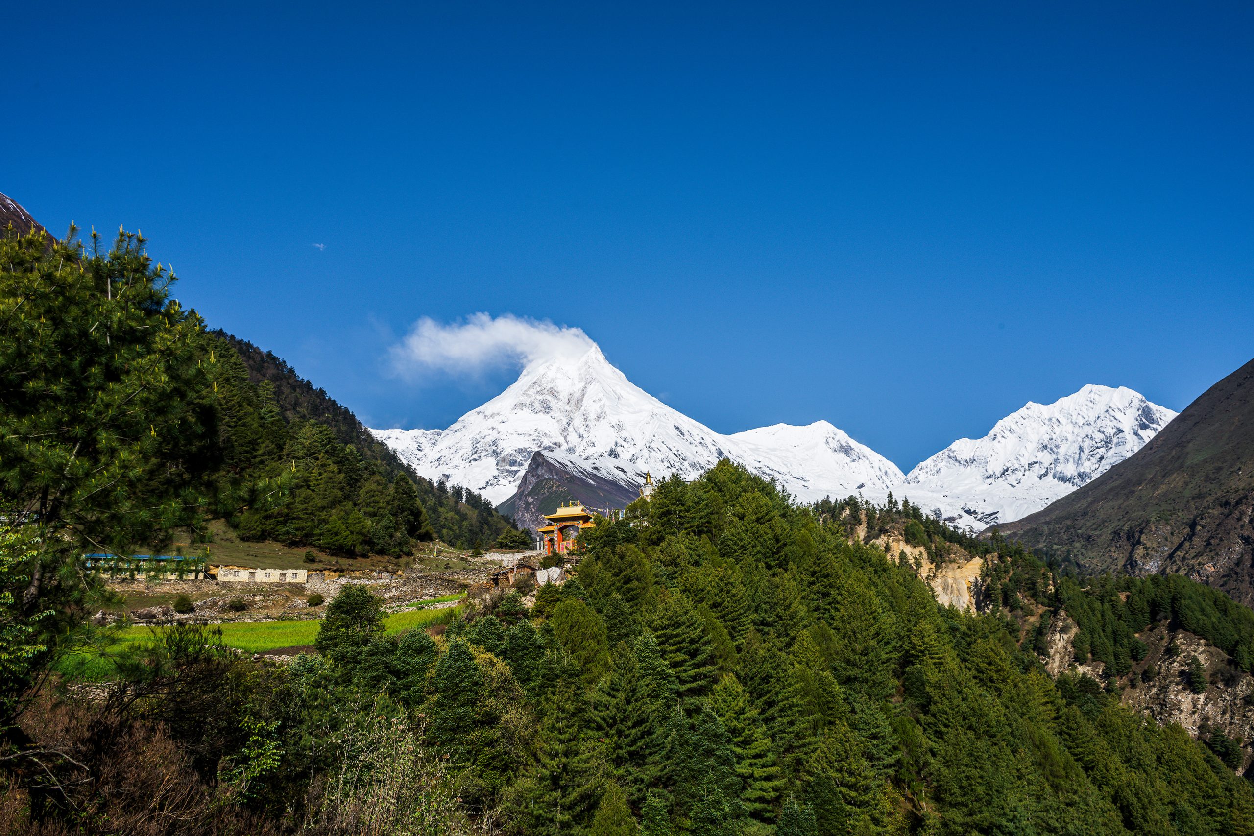 Manaslu Wildlife Photography Tour